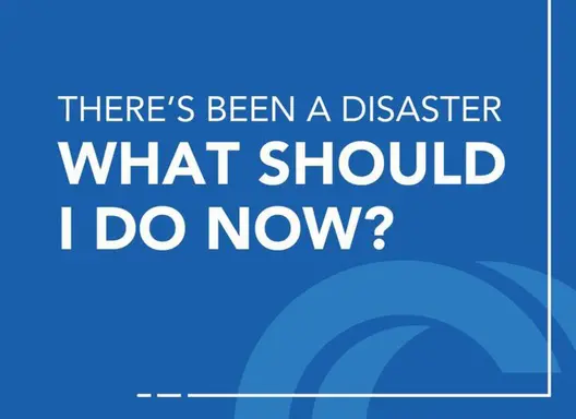 Disaster Guide Graphic